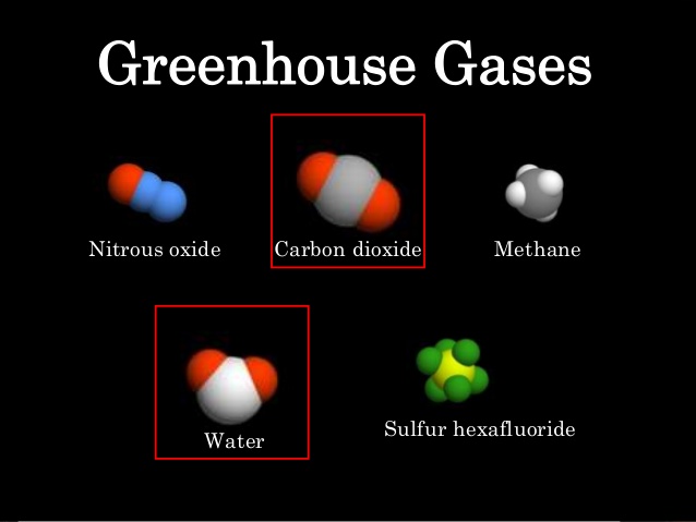 Greenhouse Effect Biogeochemical Cycles
